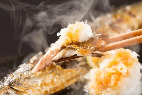 Đặc Điểm Của Cá Thu Đao (sanma)