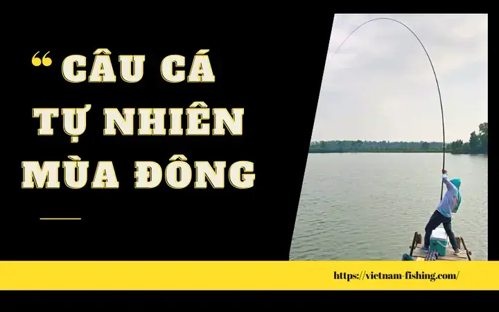 Nguyên Tắc Chọn Mồi Câu Cá Tra Khi Trời Lạnh
