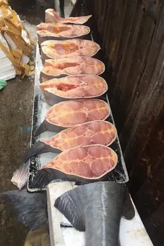 Giá Cá Tra Dầu Hiện Nay Là Bao Nhiêu?