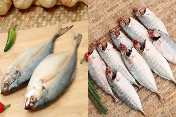 Phân Biệt Cá Trác Với Cá Ngân, Cá Bạc Má