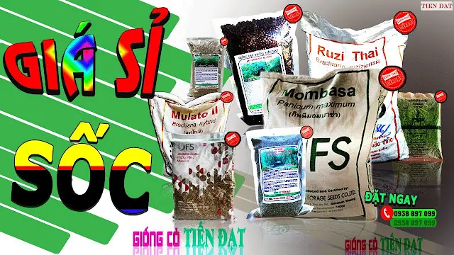 Môi Trường Sống Của Cá Trắm Cỏ