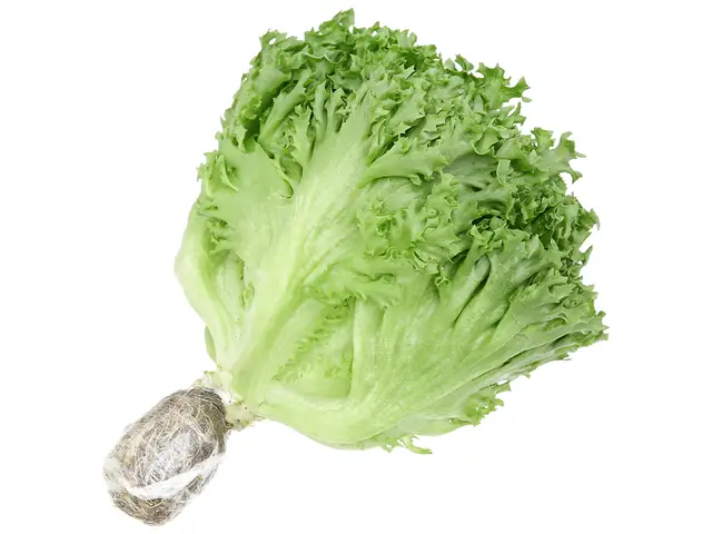 Cá Trê Ăn Gì