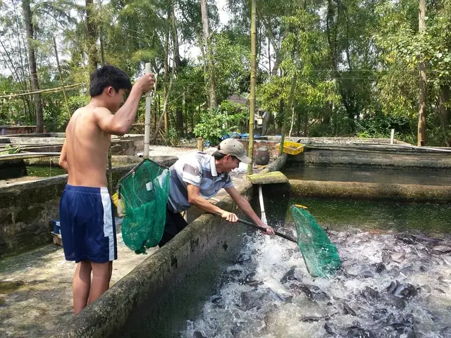 Giadinhnet - Những Ngày Qua, Nhiều Người Ở Tp Huế Xôn Xao Về Chuyện Có Một Vài Người Dân Sở Hữu Những Con Cá Trê Bạch Tạng Được Nhiều Người “gạ” Mua Với Giá Vài Triệu Đồng Nhưng Vẫn Không Bán. Cùng Lúc Đó, Lại Xuất Hiện Một Số Ý Kiến Trái Chiều Cho Rằng Đây Cũng Chỉ Là Một Loại Cá Trê Bình Thường Như Những Con Cá Trê Khác. Vậy Thực Sự Loại Cá Trê Này Có Giá Trị Thế Nào?