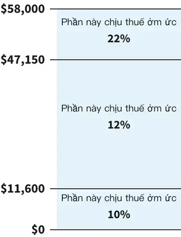 Nguồn Gốc Và Phân Loại Cá Trê Nam Mỹ