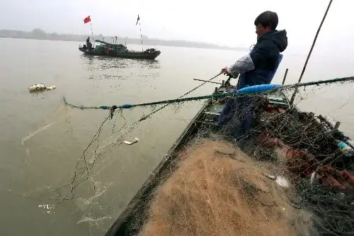 Cá Trôi Trường Giang