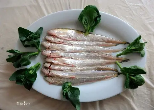 Cá Trôi Trường Giang