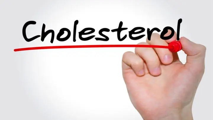 Nguồn Cholesterol Tốt