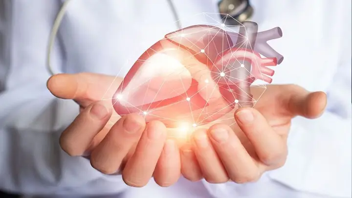 Cung Cấp Chất Béo Có Lợi