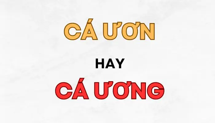 Cá Ươn Nghĩa Là Gì?