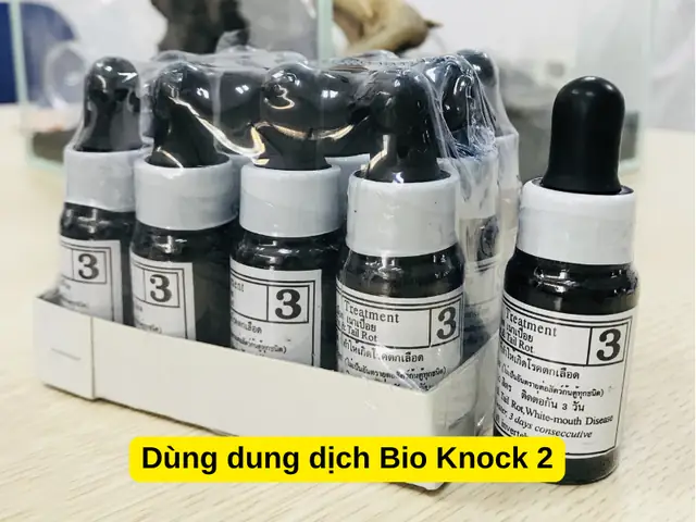 Dùng Dung Dịchbio Knock 2