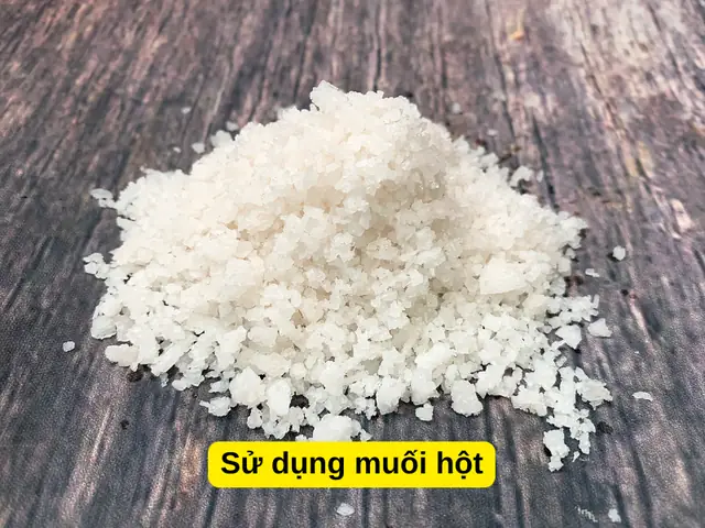 Sử Dụng Muối Hột Và Đèn Sưởi