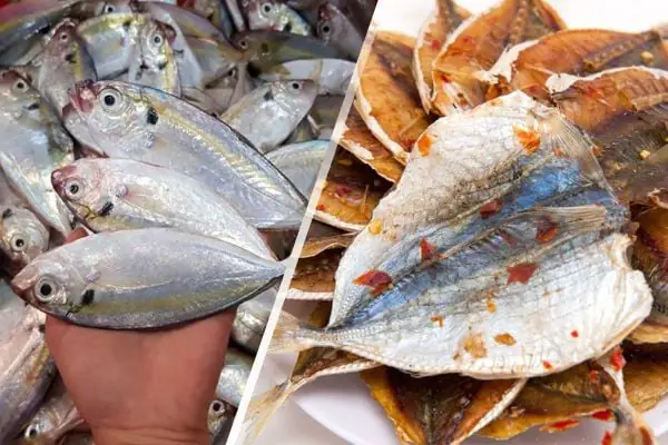 Khô Cá Chỉ Vàng Là Gì?