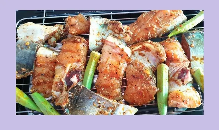 Cá Vồ Ăn Gì? Cẩm Nang Từ A-z Về Chế Độ Dinh Dưỡng Tự Nhiên & Nuôi Trồng