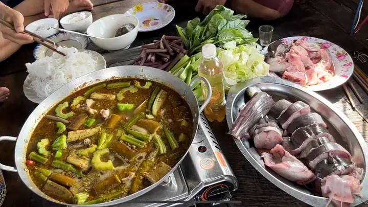 Cá Vồ Ăn Gì? Cẩm Nang Từ A-z Về Chế Độ Dinh Dưỡng Tự Nhiên & Nuôi Trồng