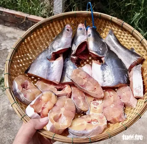 Cá Vồ Kho, Nấu Canh Chua Kiểu Miền Tây Nhờ Lê Tuấn Khang Mà Hot - Ảnh 1.