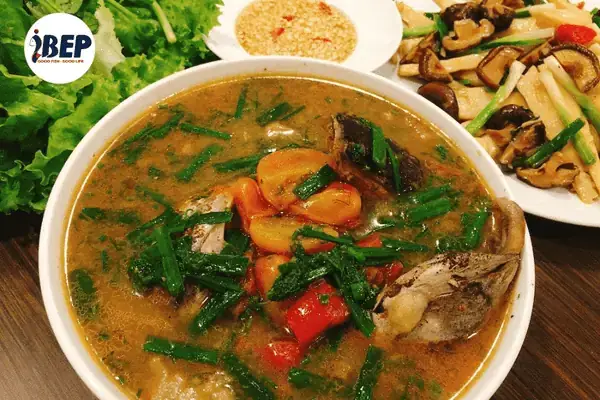 Giới Thiệu Chung Về Cá Voi Đầu Tròn Vây Ngắn
