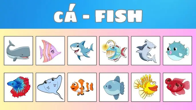 Cá Voi Tiếng Anh Là Gì? Tên Tiếng Anh Của Các Loài Cá Voi Phổ Biến