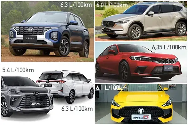 Thế Nào Là Cá Xiêm Đá Độ?