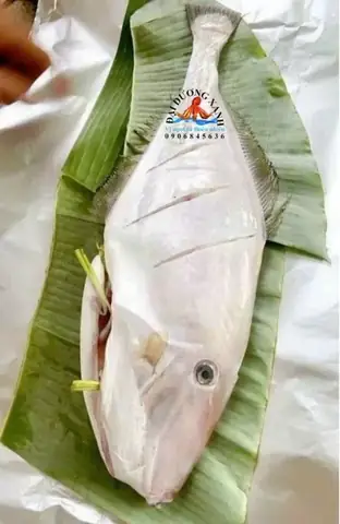 Bau An Ca Bo Da Duoc Khong E1724222018601
