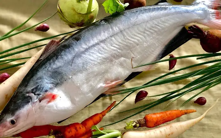 Cá Dứa