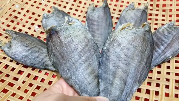 Các Loại Cá Miền Tây