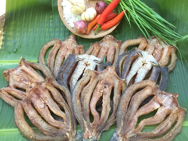 Các Loại Cá Miền Tây