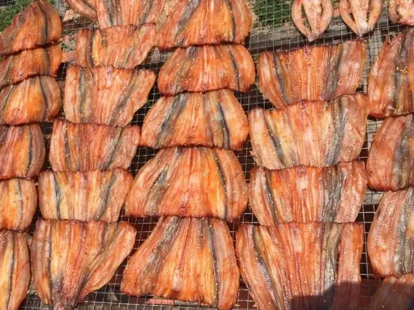 Các Loại Cá Miền Tây
