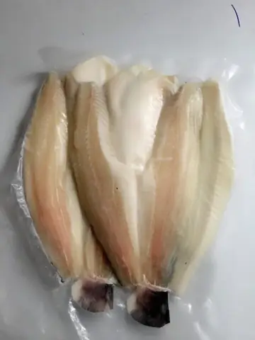 Các Loại Cá Miền Tây