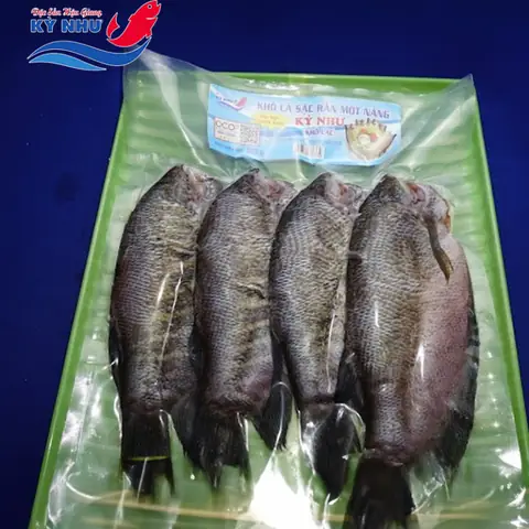 Cá Sặc Là Cá Nước Ngọt Phải Không?