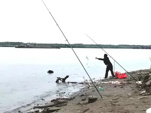 Nét Đặc Trưng Của Hệ Sinh Thái Sông Hồng