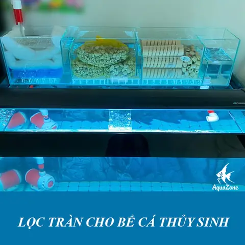 Lọc Tràn