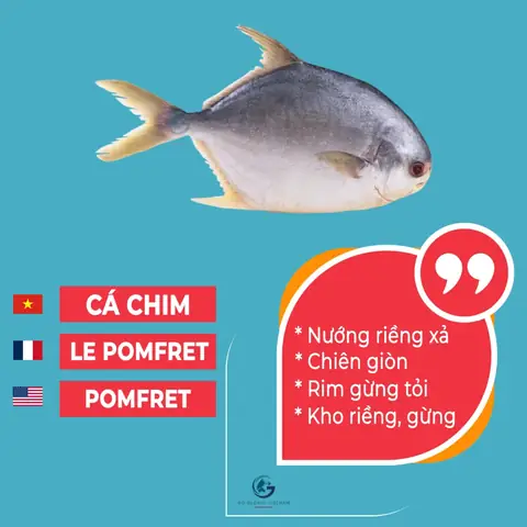 Các Loại Cá Tiếng Anh