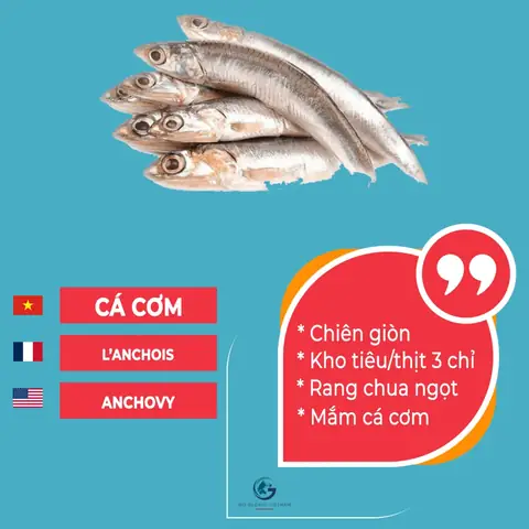 Các Loại Cá Tiếng Anh