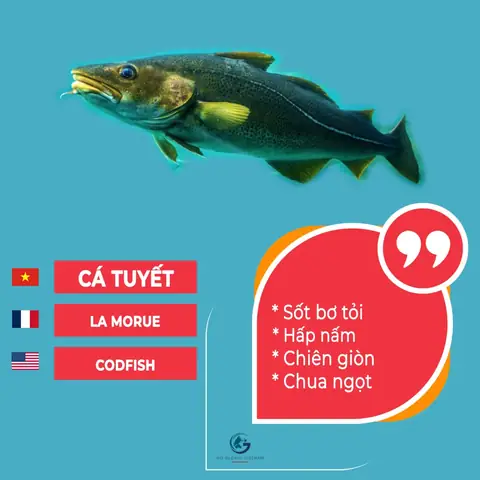 Các Loại Cá Tiếng Anh