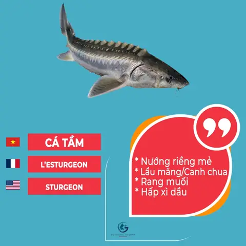 Các Loại Cá Tiếng Anh