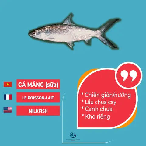 Các Loại Cá Tiếng Anh