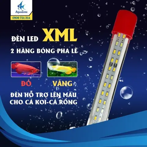 Đèn Led Hồ Cá Rồng
