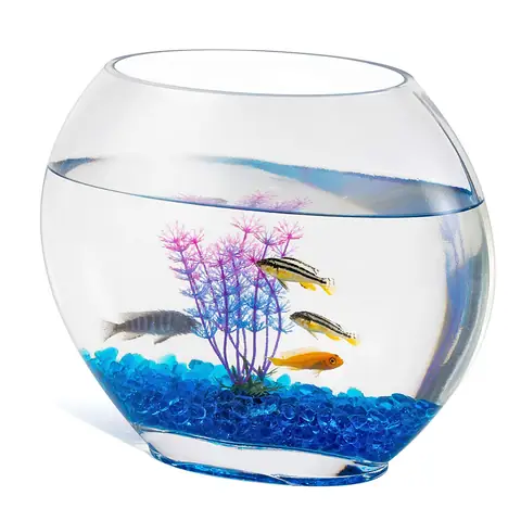 Bể Cá Cảnh Bằng Bình Thủy Tinh