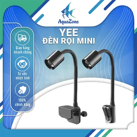 Các Thiết Bị Cho Bể Cá Cảnh: Hướng Dẫn Chọn Mua Và Sử Dụng Toàn Diện