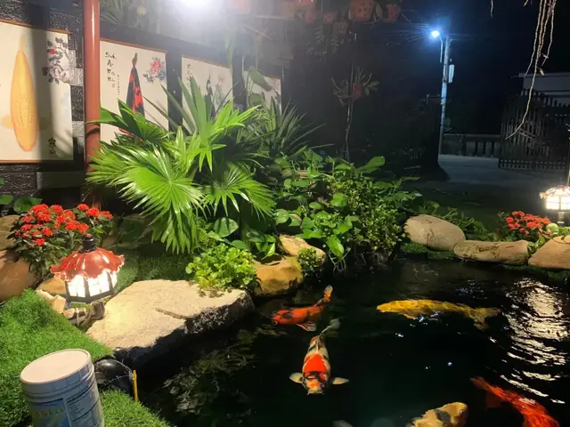 Dấu Hiệu Nhận Diện Cá Cảnh Đang Thiếu Oxy