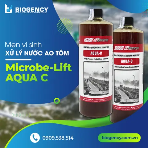 Cách Xử Lý Và Phòng Ngừa Xuất Hiện Nòng Nọc Trong Ao Nuôi Tôm