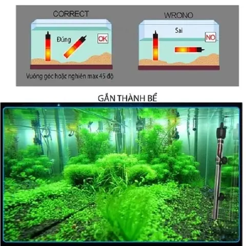 Cách Sử Dụng Máy Sưởi Bể Cá.