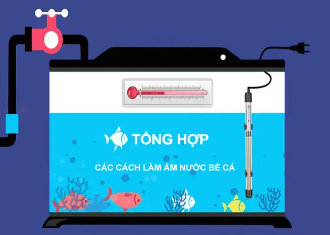 Tổng Hợp Cách Làm Ấm Nước Bể Cá Vào Mùa Đông