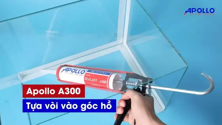 Hướng Dẫn Cách Phát Hiện Vị Trí Rò Rỉ Nước Trong Bể Cá