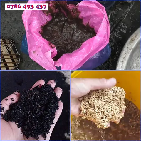 Xin Chào Các Bạn, Hôm Nay Mình Sẽ Chia Sẻ Với Anh Em Cách Làm Mồi Bẫy Cá Rô Đồng Cho Các Anh Em Có Cùng Đam Mê Bắt Cá Rô Bằng Xà Di, Lờ Hoặc Lợp Cá Nha.