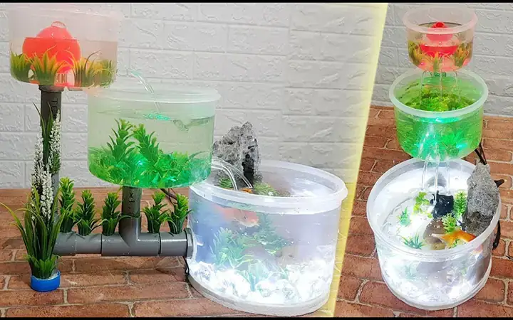 Những Hạn Chế Cần Lưu Ý Khi Dựng Bể Cá Từ Nhựa
