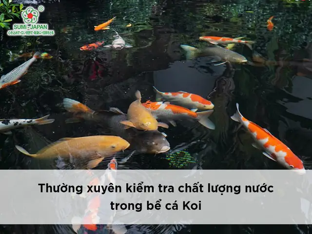 Thường Xuyên Kiểm Tra Chất Lượng Nước