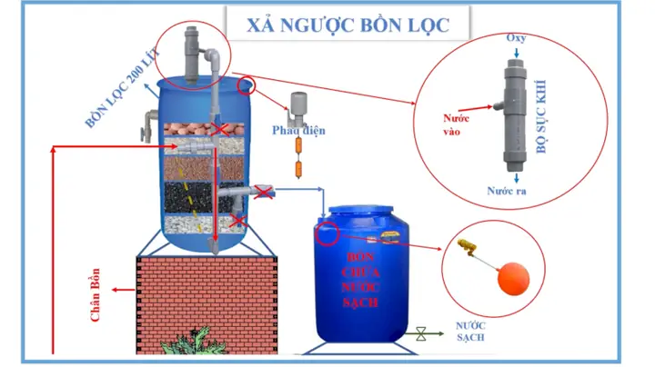 Hướng Dẫn Làm Bể Cá Ngược Tại Nhà: Tạo Không Gian Sống Động Cho Sân Vườn