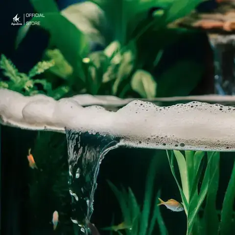 Hiểu Rõ Bản Năng Tự Nhiên Của Cá Đá