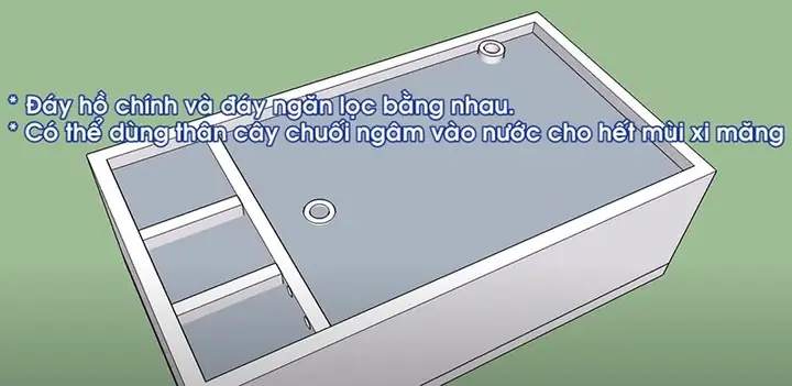 Bước 4: Quét Sơn Chống Thấm Và Ngâm Hồ